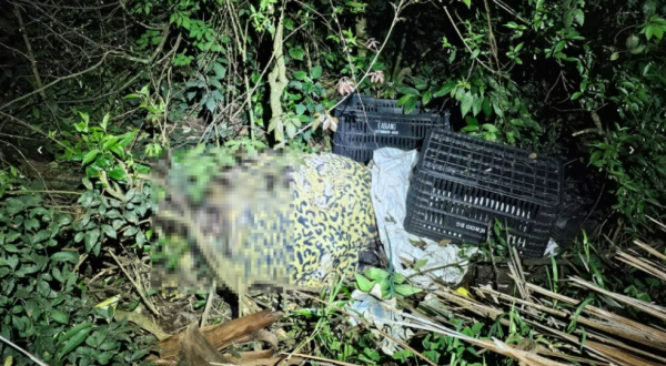 Polícia Civil encontra corpo de morador de Chapecó desaparecido e prende três pessoas
