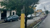 Árvores de grande porte são substituídas para melhorar segurança e paisagismo