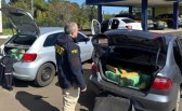 PRF apreende cerca de 360 quilos de maconha na BR-282