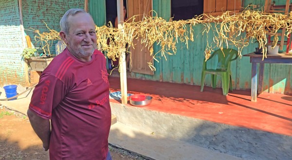 De conto infantil à vida real: “Pé de feijão gigante” chama atenção no Distrito São José