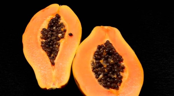 Confira os alimentos que são bons para manter a imunidade durante o frio