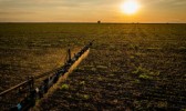 Crescimento de 1,9% no agronegócio impulsiona a economia