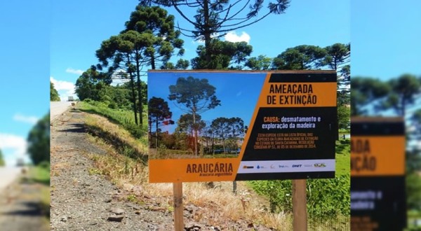 BR-163/SC ganha placas educativas sobre preservação de espécies ameaçadas de extinção
