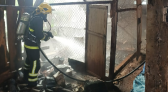 Incêndio atinge galpão agrícola e mata 35 galinhas