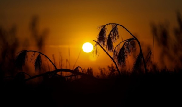 Nota Meteorológica: Previsão para janeiro aponta sol e calor no Oeste de SC