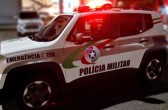 Idoso é preso por ameaçar e agredir companheira no Oeste de SC