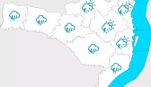 Neblina e chuva marcam o início da semana em Santa Catarina