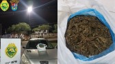 Três pessoas foram presas com cerca de 2 kg de maconha do tipo murruma