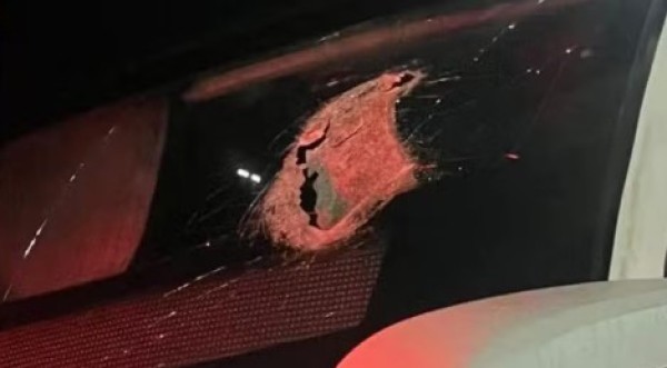 Peça se solta de caminhão, atinge ônibus e mata passageiro na BR-277