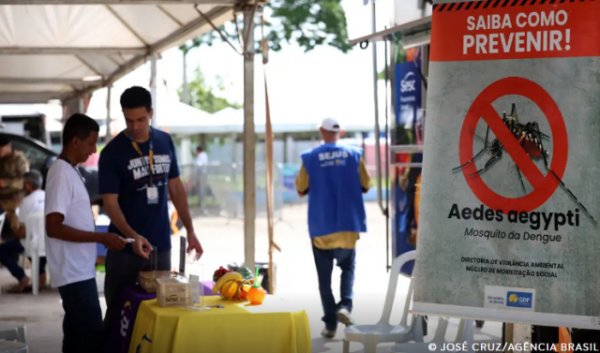 Casos de dengue no Brasil caem 60% nas primeiras semanas do ano