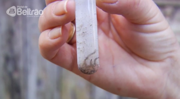 Boletim da dengue registra 34.360 novos casos; Beltrão registra três novos óbitos