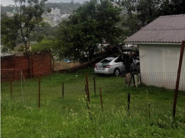 Temporal que atingiu Chapecó teve rajadas de vento de quase 90 km/h, aponta Defesa Civil