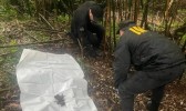 Polícia Civil localiza segunda ossada humana enterrada, em investigação coordenada pela 19ª SDP