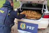 Apreensões de drogas batem recorde em SC em 2025
