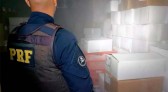 Quatro toneladas de camarão contrabandeado da Argentina são encontradas em SC