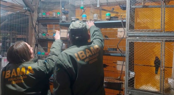 Mais de 650 animais são resgatados em situação precária de ‘zoológico clandestino’ em SC