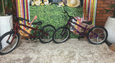 Escola Luiz Savoldi recebe doações para aquisição de bicicletas