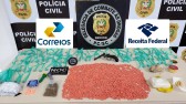 Grande operação apreende R$ 300 mil em drogas na Capital