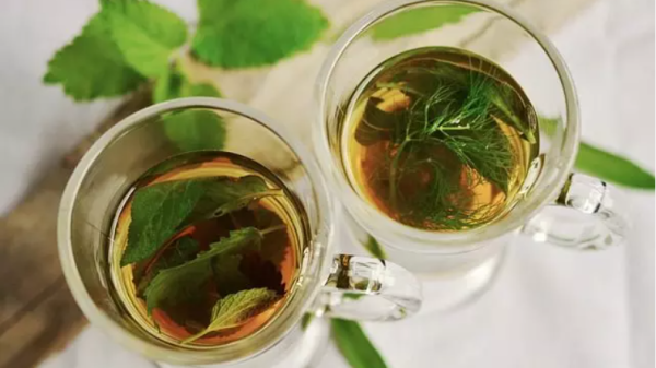 21 Receitas de chás que fazem bem para a saúde: veja os benefícios e dicas de consumo