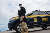 Fim de feriado de Finados é marcado por trânsito intenso em rodovias de SC