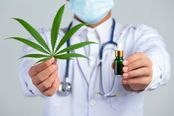 Lei que aumenta acesso a medicamentos à base de cannabis pelo SUS em SC é sancionada