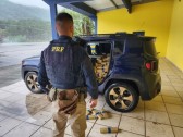 PRF realiza apreensão mais de 700 kg de maconha e recupera carro roubado em SC