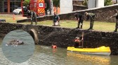 Buscas seguem a fim de capturar jacaré que está no lago