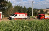 Homem é atingido na cabeça durante trabalho com corte de árvores no interior