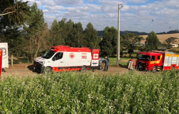 Homem é atingido na cabeça durante trabalho com corte de árvores no interior