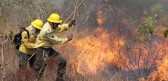 Bombeiros controlam incêndio de grandes proporções