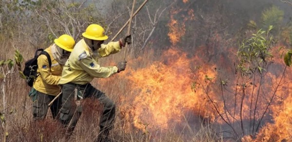 Bombeiros controlam incêndio de grandes proporções