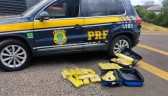 Jovem é apreendida com 50 kg de maconha em ônibus interestadual