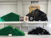 Polícia Civil de SC apreende drogas avaliadas em R$ 25 milhões