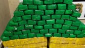 Meia tonelada de maconha é apreendida em Garuva