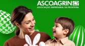 A ambientação de vitrines e espaços potencializando seu empreendimento