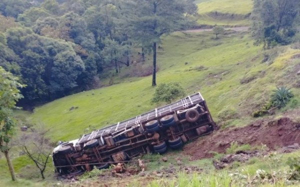 Caminhão carregado de suínos sai da pista e tomba em ribanceira em Concórdia