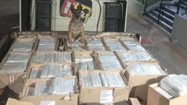 Polícia Rodoviária apreende 667 kg de maconha em caminhão na PRC-280