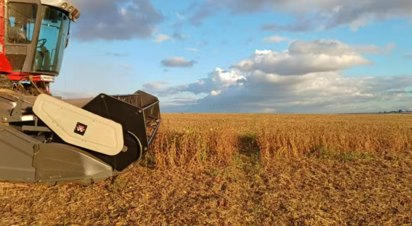 Produção de grãos do Brasil deve atingir recorde de 360,1 milhões de toneladas na safra 2025/26