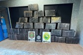 Dois homens são presos e 732 kg de maconha são apreendidos durante patrulhamento no rio Paraná