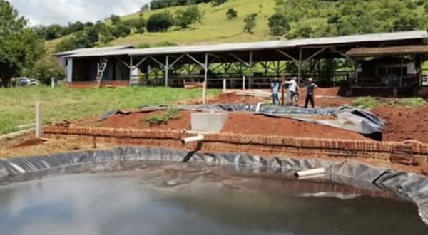 Família transforma esterco de vacas em energia e fertilizante e reduz custos no Oeste de SC