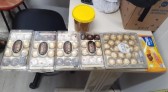 Homem de 41 anos é preso por furtar chocolates em supermercado