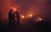 Vegetação queimada em SC cresce 137% e já soma 310 campos de futebol em 2025