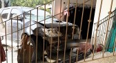 Hilux invade loja após colisão de forte impacto no Centro