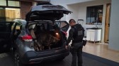 PCPR e MPPR deflagram operação contra organização criminosa ligada ao tráfico de drogas em diversos estados do Brasil
