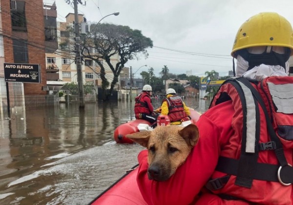 Brasil registrou maior número de desastres naturais em 2023, com 1.161 ocorrências