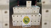Quase 400 garrafas de vinhos são apreendidas pela BPFron