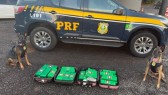 Foragido da Justiça é capturado em ônibus intermunicipal com mais de 27kg de drogas