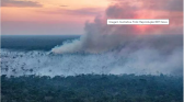 Quando a Amazônia entra em colapso? Novo estudo prevê um prazo