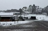 Chuva congelada, geada ou neve? Saiba como diferenciar os fenômenos