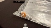 Casal é preso por tráfico de drogas após abordagem em estrada rural